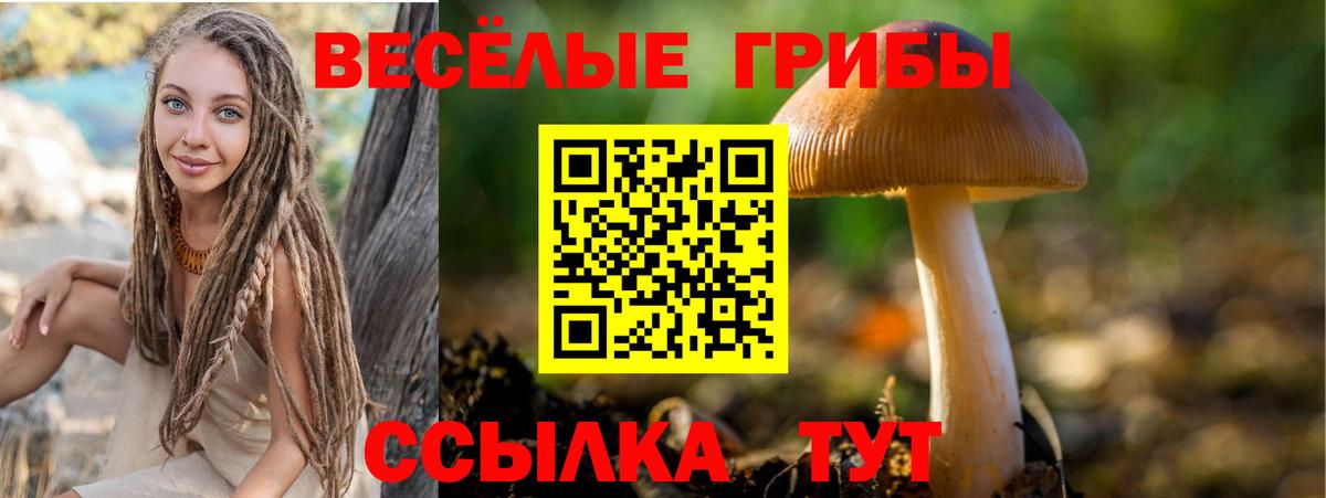 Астрахань  Псилоцибиновые грибы Psilocybe  Псилоцибиновые грибы ЛСД  Вход с VPN 