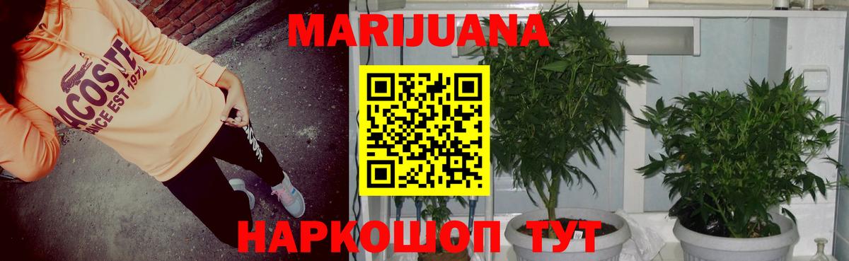 Бошки Шишки White Widow Астрахань